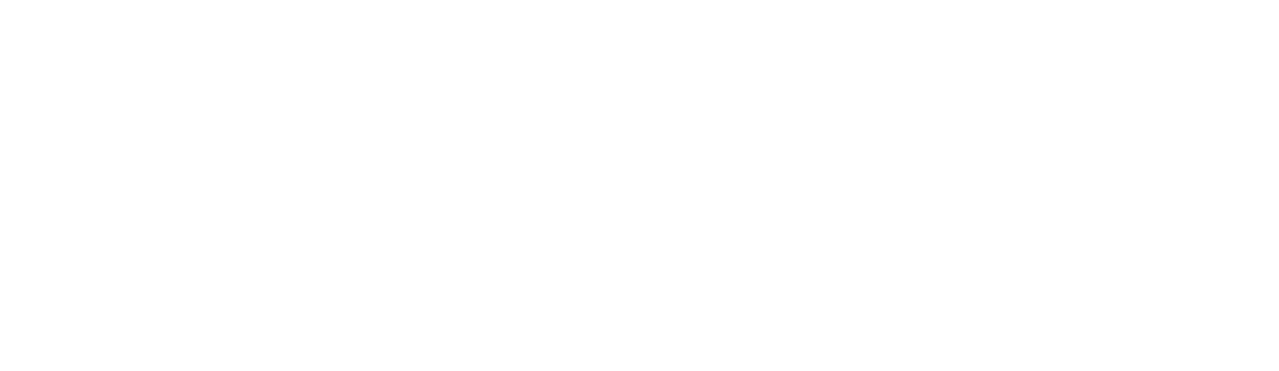 logo orizzontale no sfondo